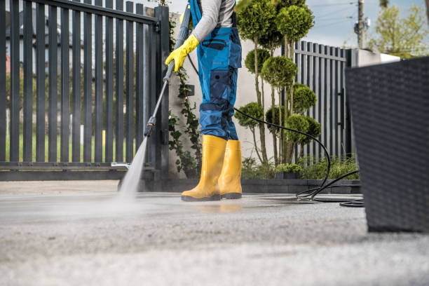 Best Soft Washing  in Monterey, CA